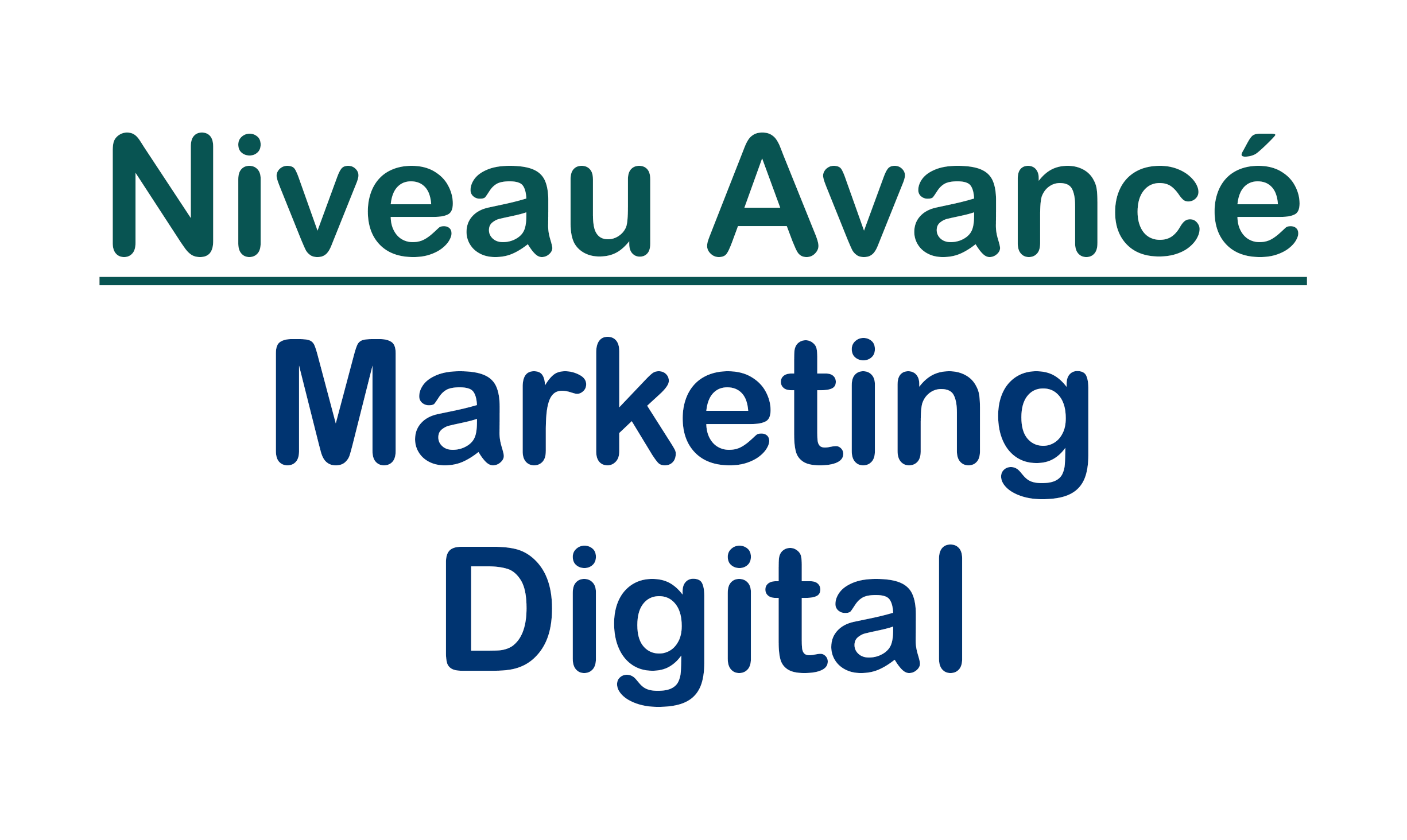 Niveau Avancé | Marketing Digital