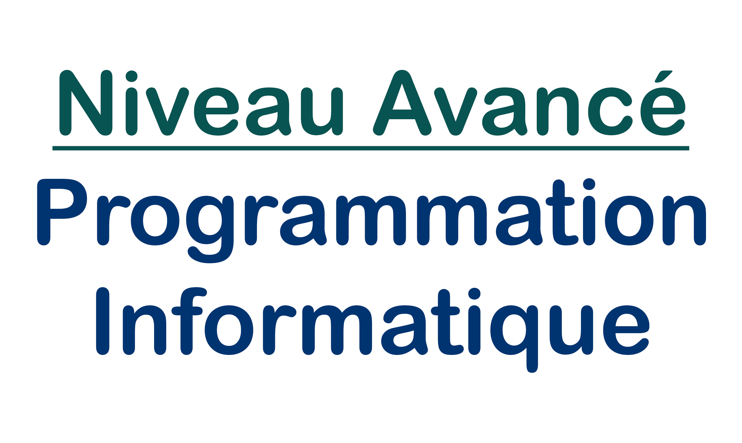 Niveau Avancé | Programmation