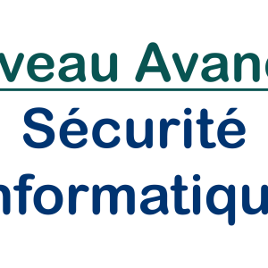 niveau-avance-securite-informatique