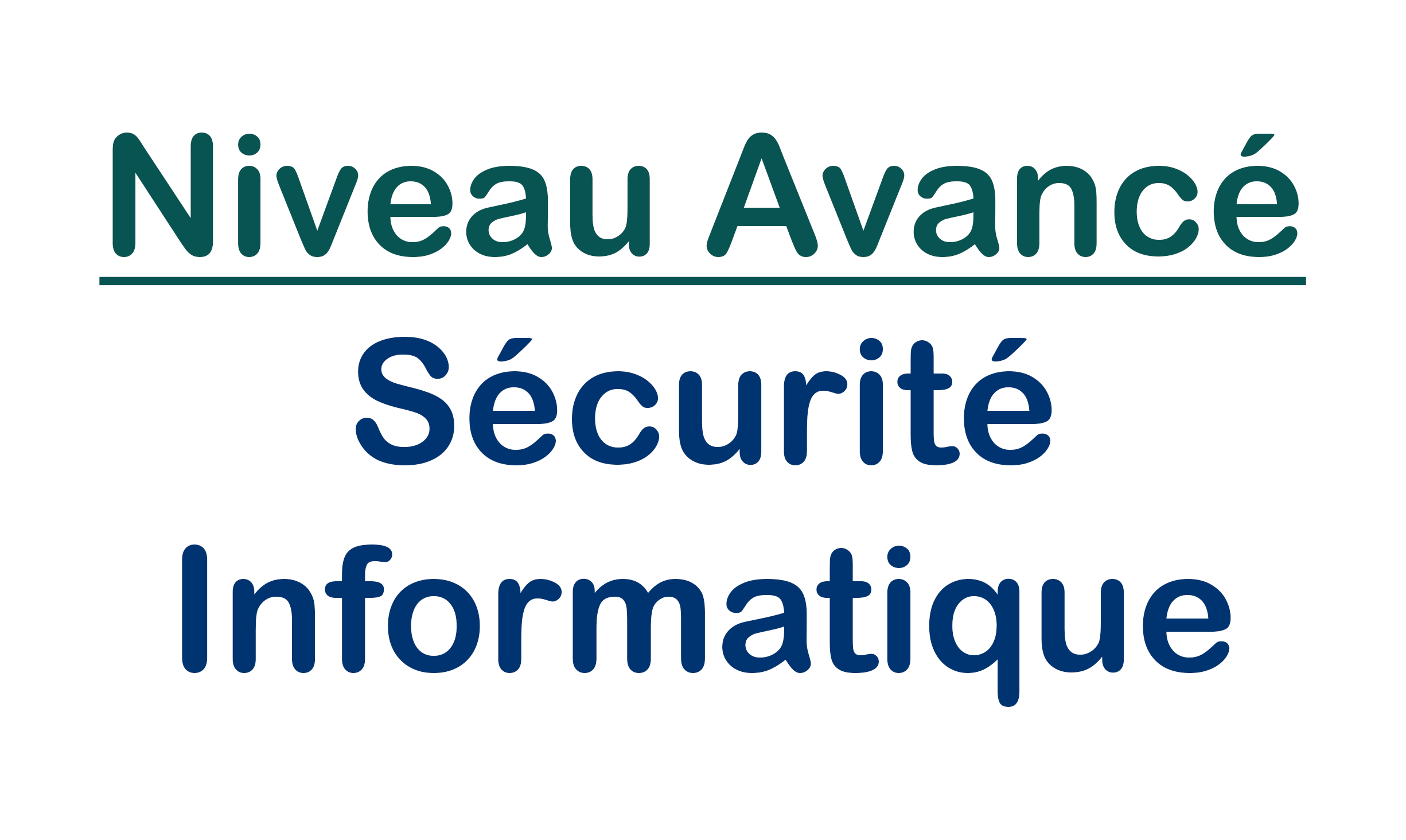 Niveau Avancé | Sécurité Informatique