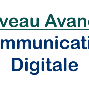 niveau-avance-communication-digitale
