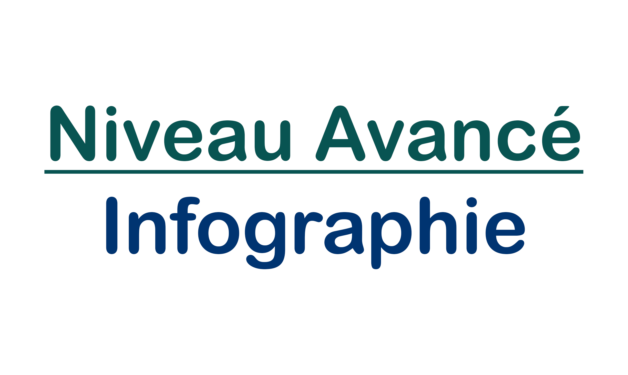 Niveau Avancé | Infographie