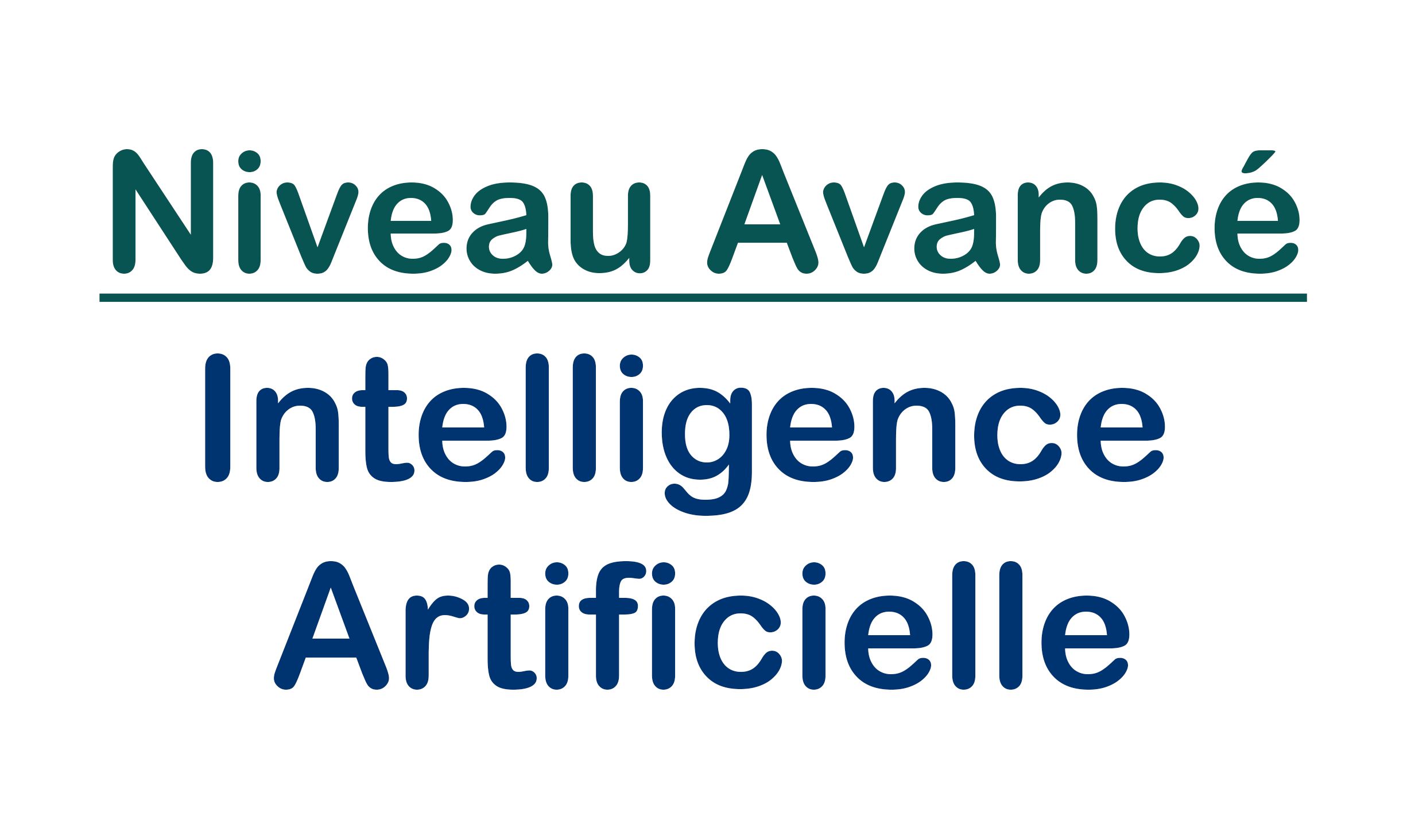 Niveau Avancé | Intelligence Artificielle