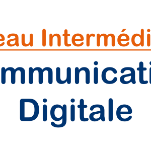 niveau-intermediaire-communication-digitale