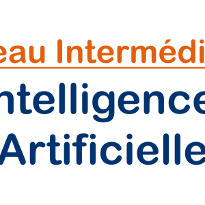 niveau-intermediaire-intelligence-artificielle