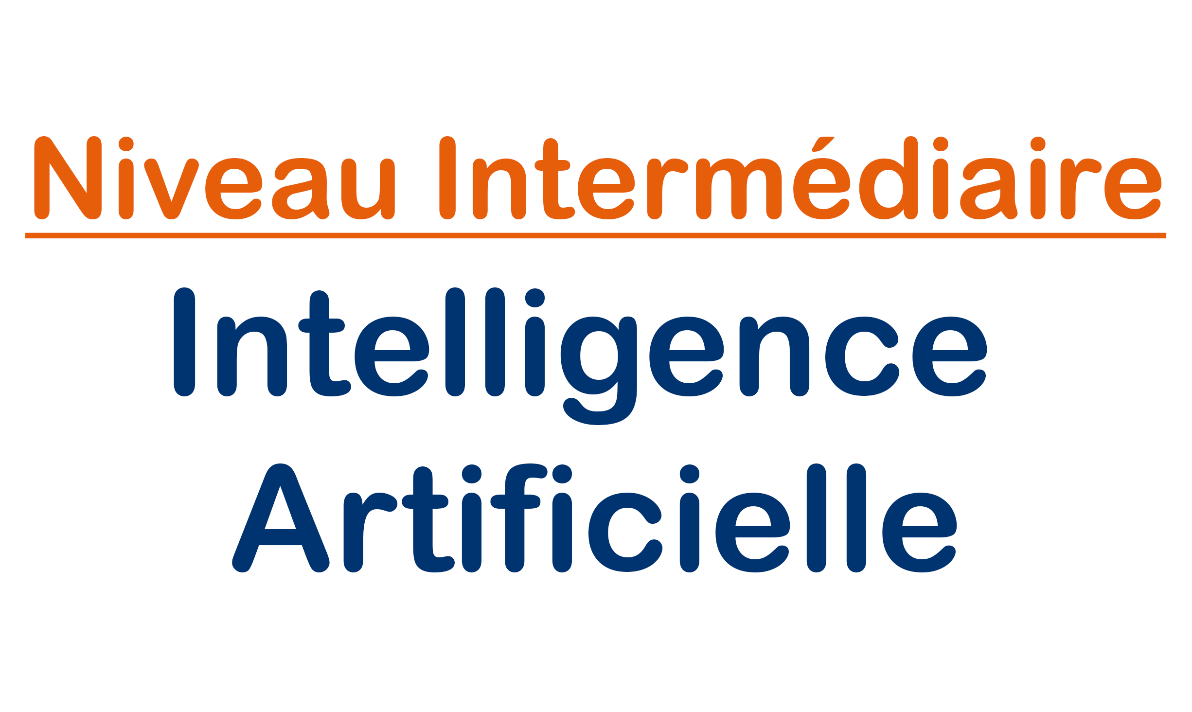 Niveau Intermédiaire | Intelligence Artificielle